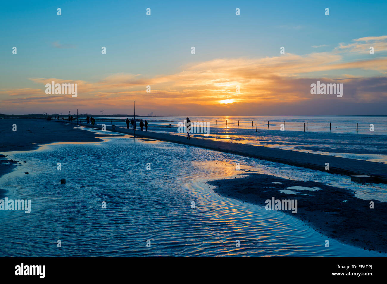 Beach walkers at the Wadden Sea on the North Sea coast in the blue hour at sunset, Norddeich, Lower Saxony, Germany Stock Photo