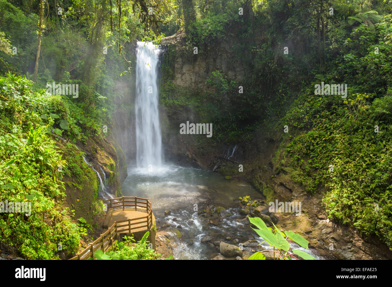 Waterfall in the rainforest, Vara Blanca, Alajuela province, Costa Rica