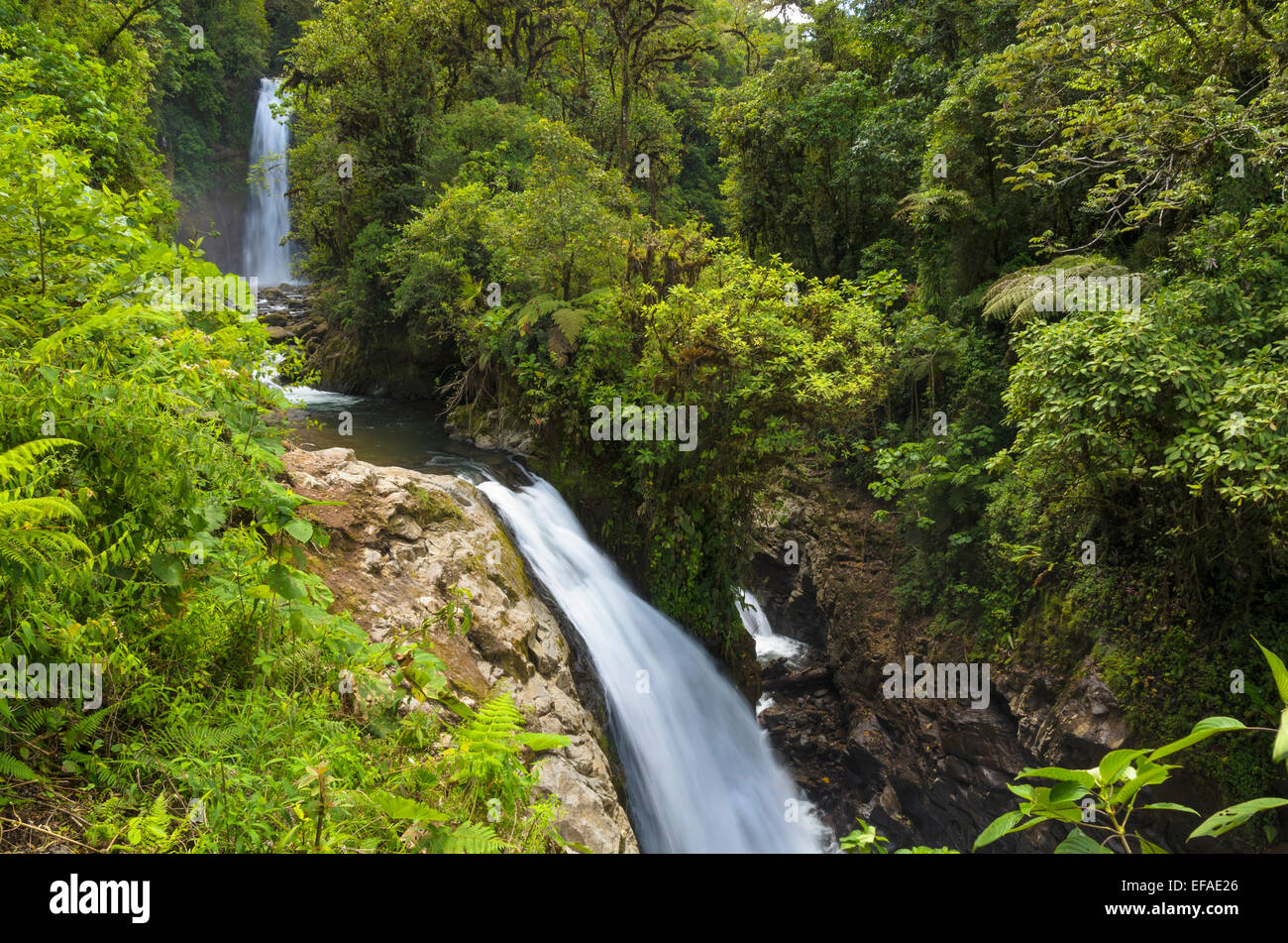Waterfalls in the rainforest, Vara Blanca, Alajuela province, Costa