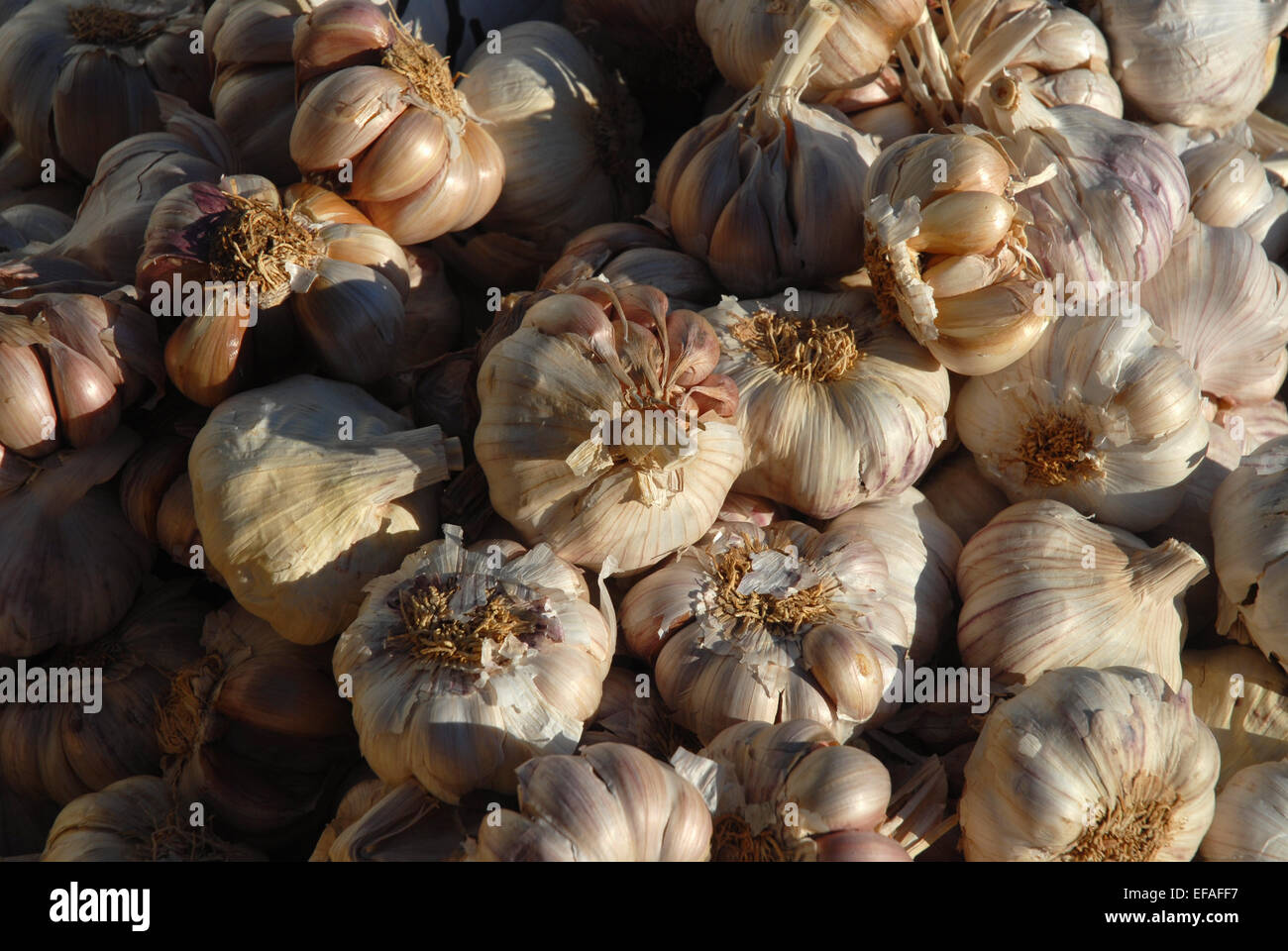 Fresh garlic bulbs on a market stall in Spain Stock Photo
