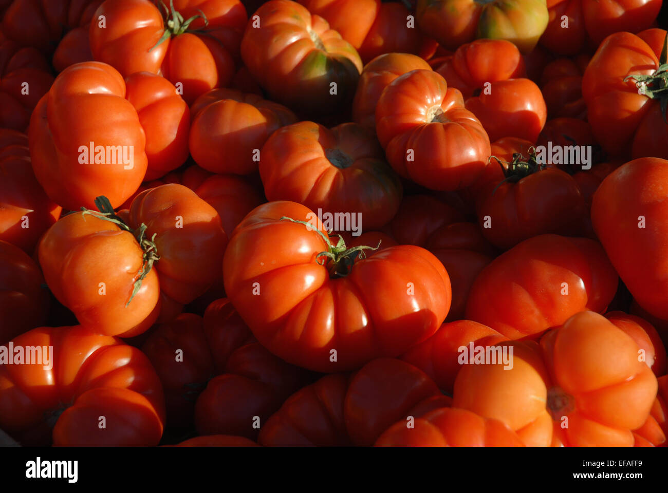 Tomatoes for sale at the market stall hi-res stock photography and ...