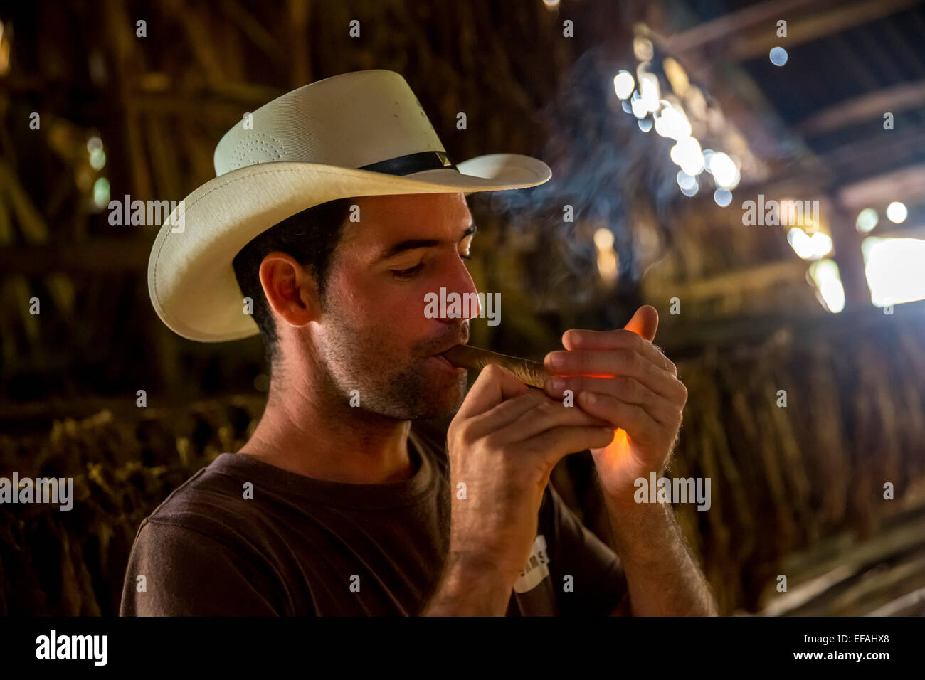 Tobacco farmer Luis Manne Alvares Rodrigues lighting a Havana cigar, tobacco farm, Vinales Valley, Vinales Stock Photo