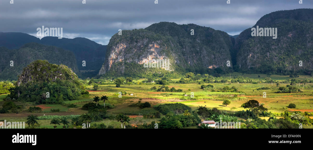 Tobacco fields and the Mogotes karst mountains, Valle de Viñales, Viñales, Pinar del Rio Province, Cuba Stock Photo
