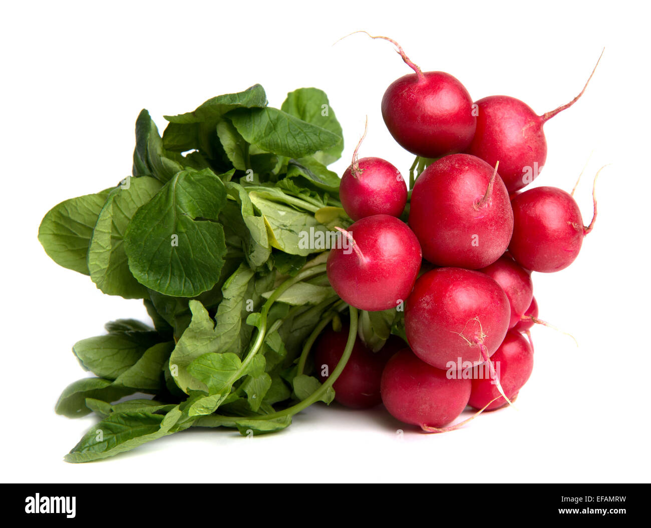 Radishes Ripe Purple long radish hi-res stock photography and images - Alamy