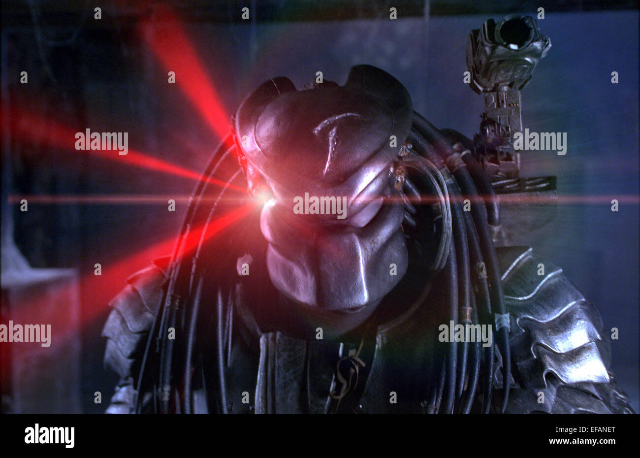 predator 2004