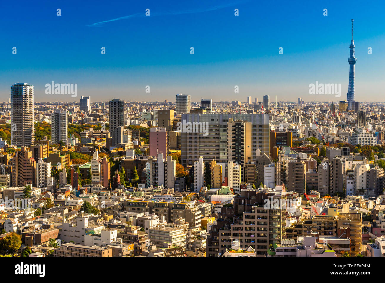 Tokyo skyline, with the Skytre and the Flamme d'or building, Japan. Stock Photo