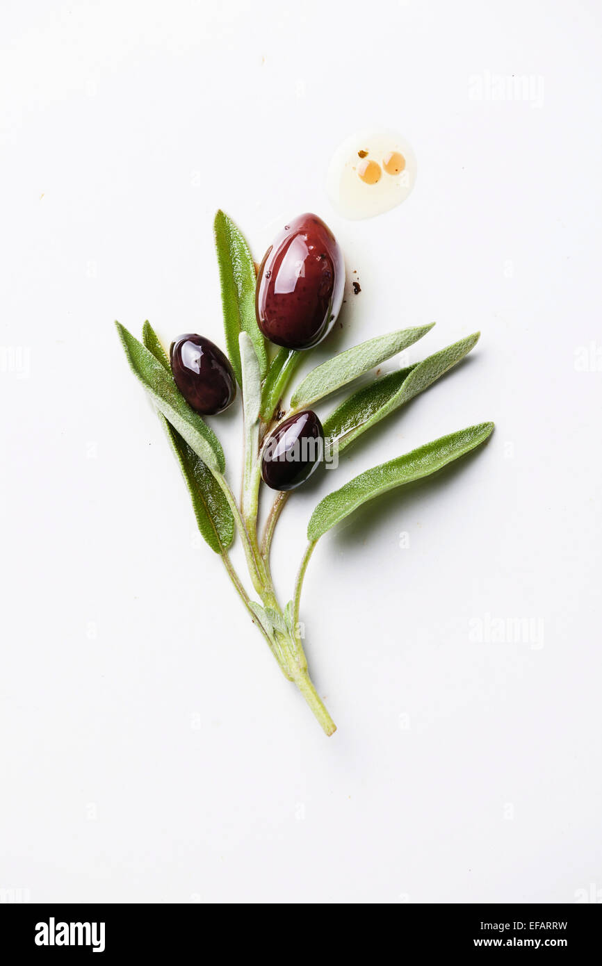 Olives with sage leaves on white background Stock Photo
