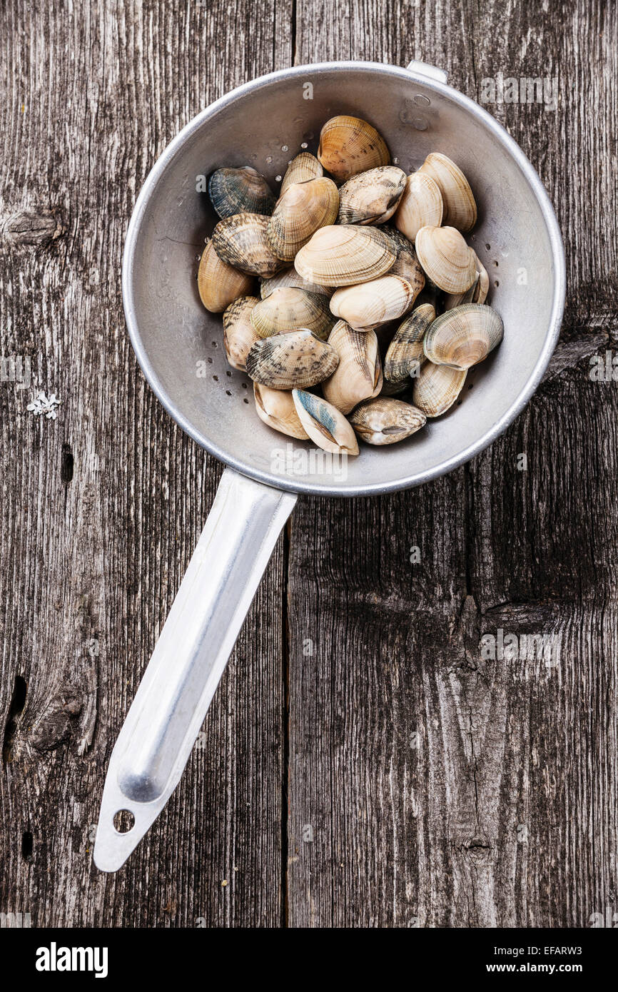 Raw Shells vongole in colander on wooden background Stock Photo