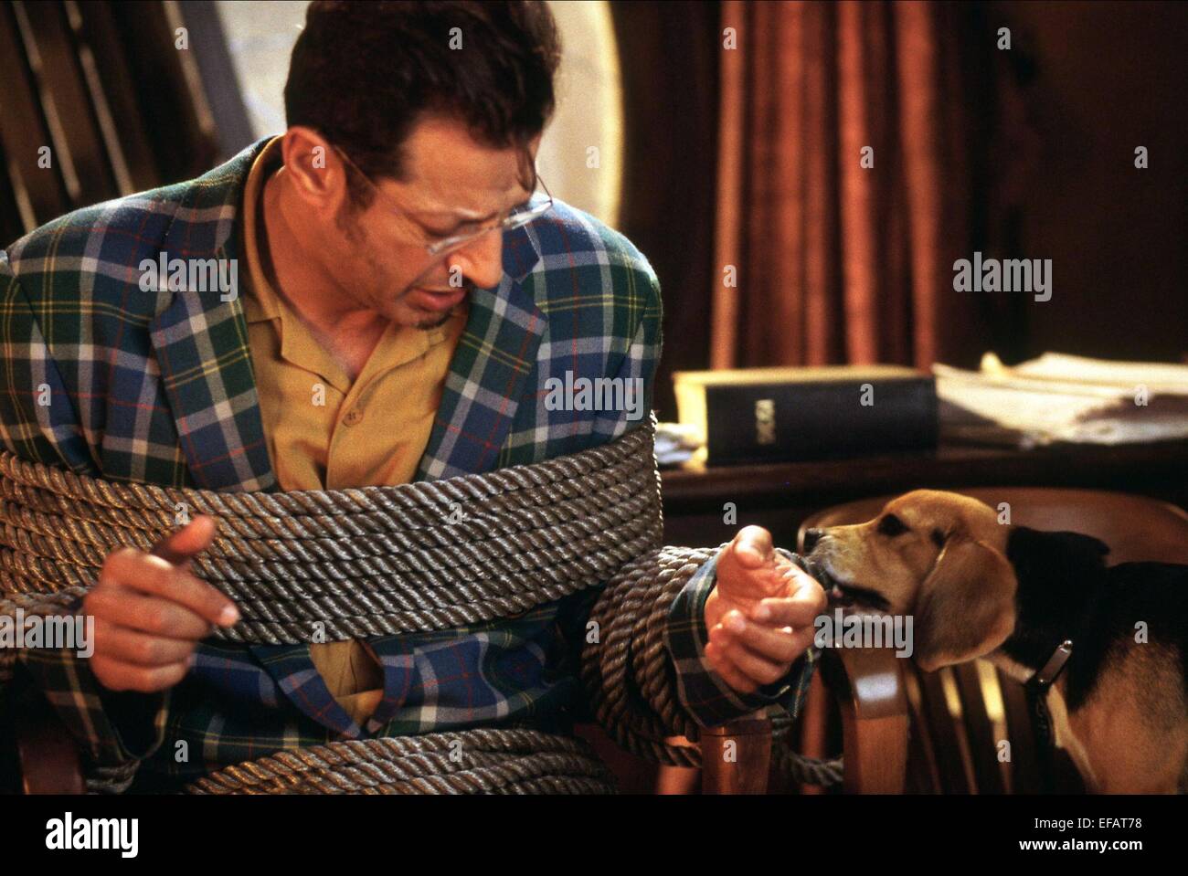 Cats And Dogs 2001 High Resolution Stock Photography and Images Alamy