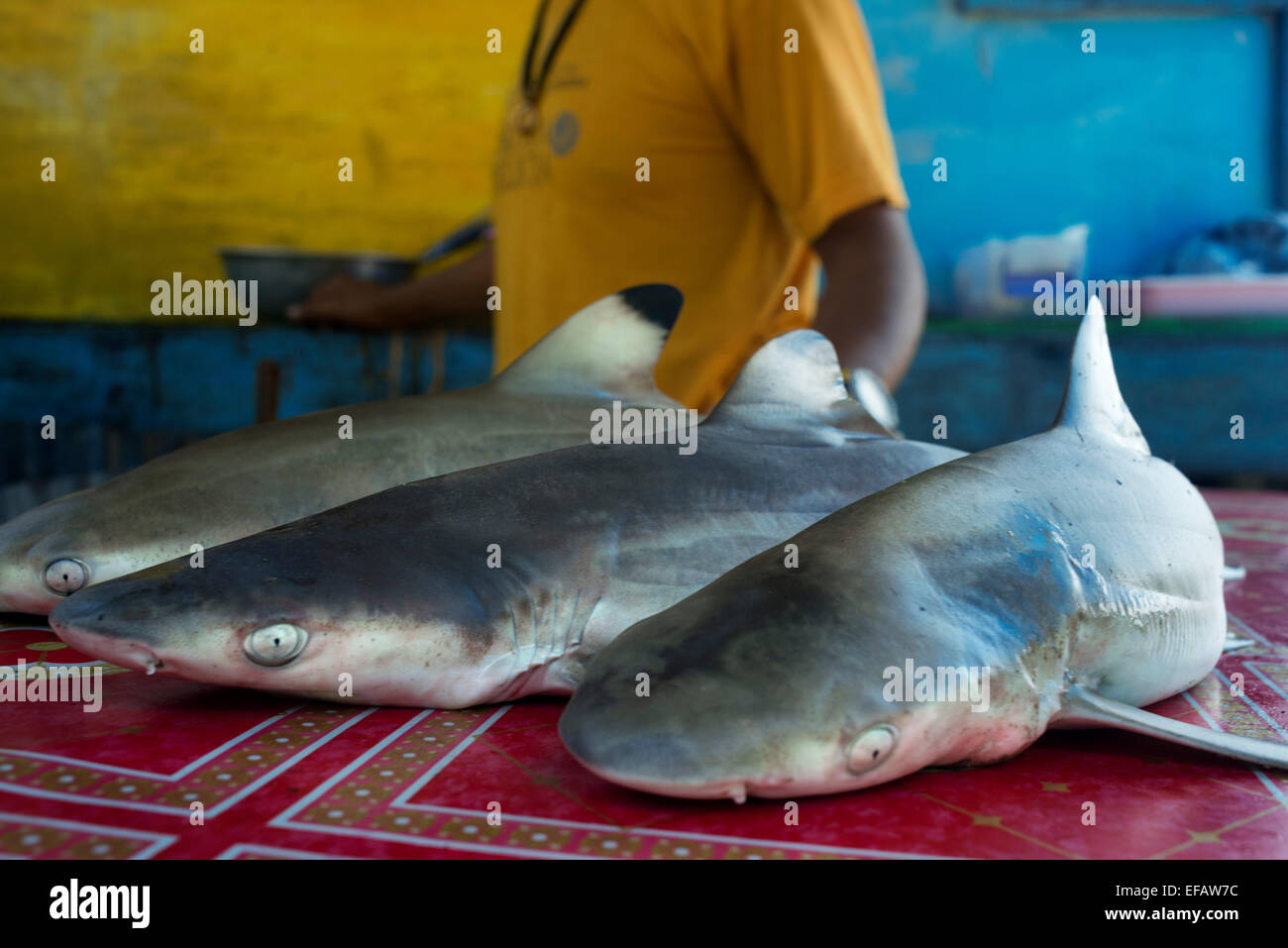 Selling and buying small sharks. Fishing gypsy village. Koh Mook (Muk) is a small rocky island off the coast of Trang province. Stock Photo
