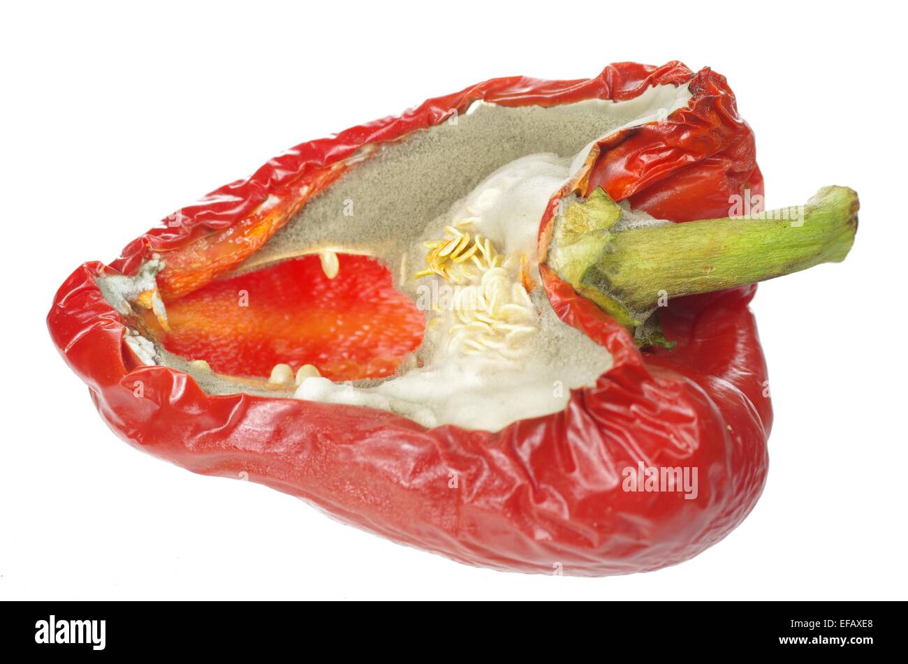 mouldy organic vegetable unhealthy red paprika Stock Photo
