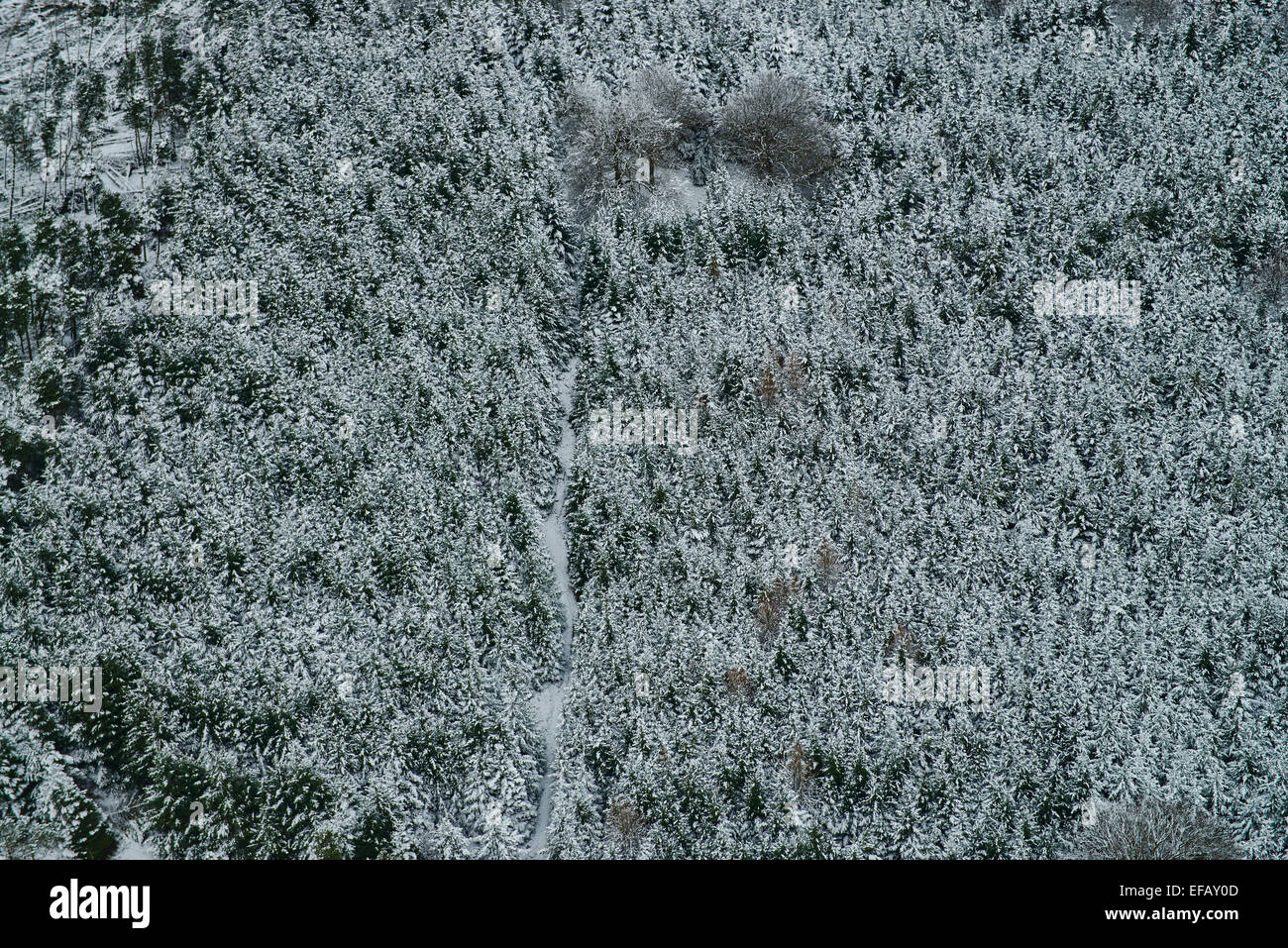 An abstract aerial view of a snowy forest in the Peak District of England Stock Photo