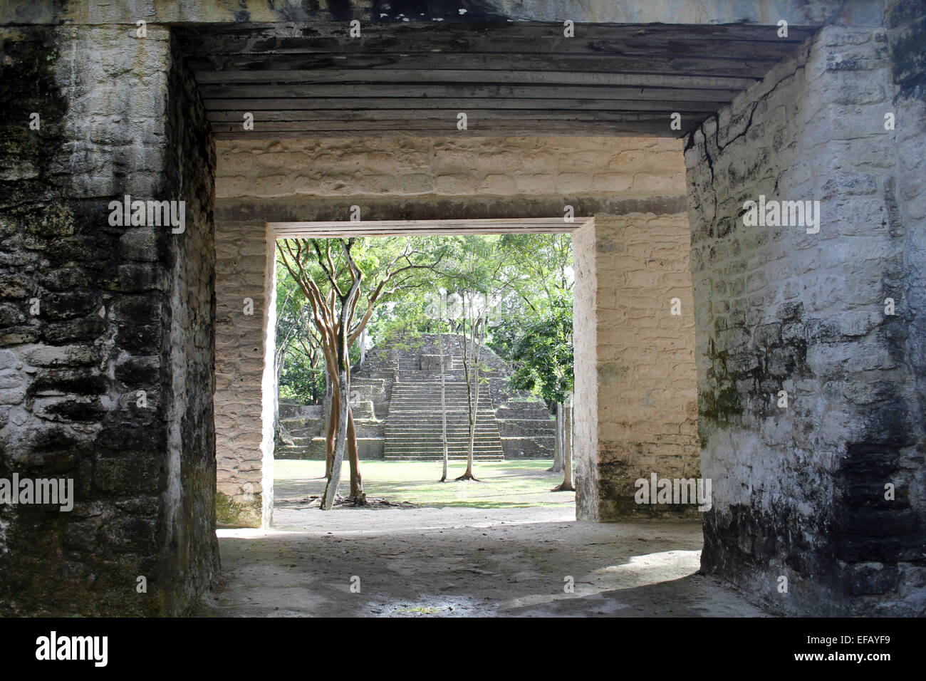 Maya Site Of Cahal Pech, San Ignacio, Belize, Central America Stock Photo