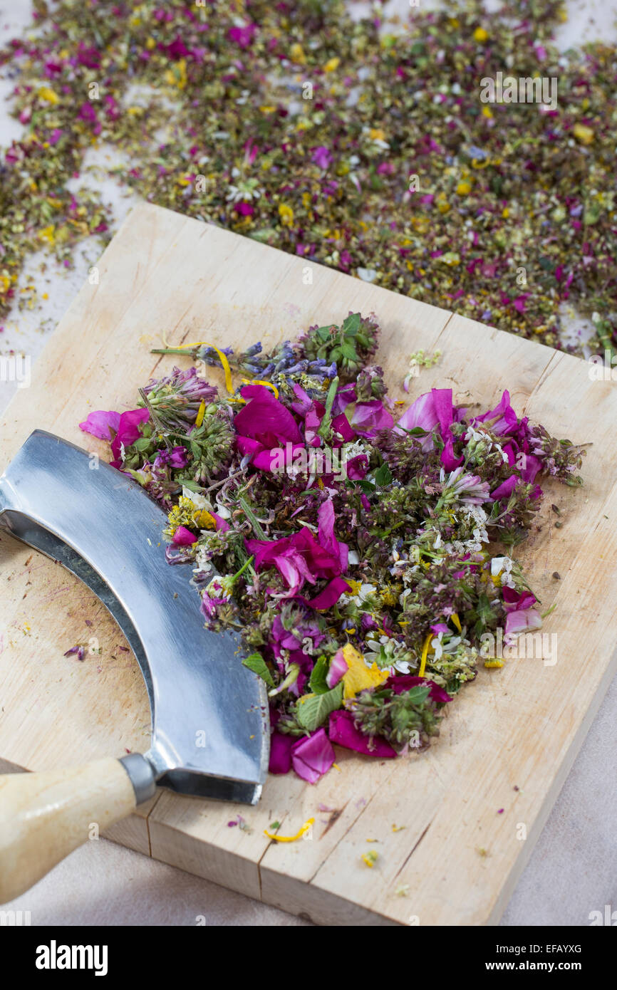 Blossoms, flowers, blooms, petals, mincing knife cradle, rocking tool, essbare Blüten, Blumen, Ernte, Wiegemesser, Messer Stock Photo