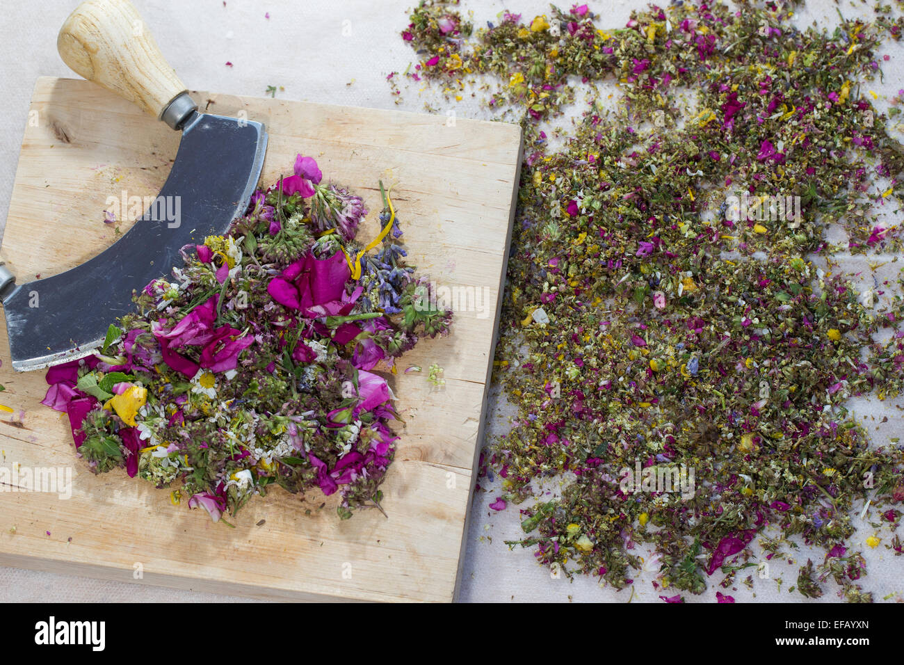 Blossoms, flowers, blooms, petals, mincing knife cradle, rocking tool, essbare Blüten, Blumen, Ernte, Wiegemesser, Messer Stock Photo