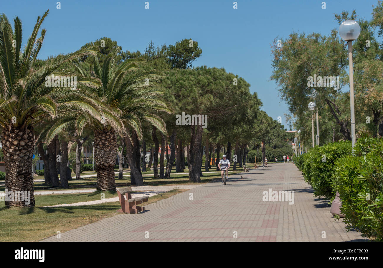Promenade In Argeles Plage Argeles Sur Mer In The Pyrenees