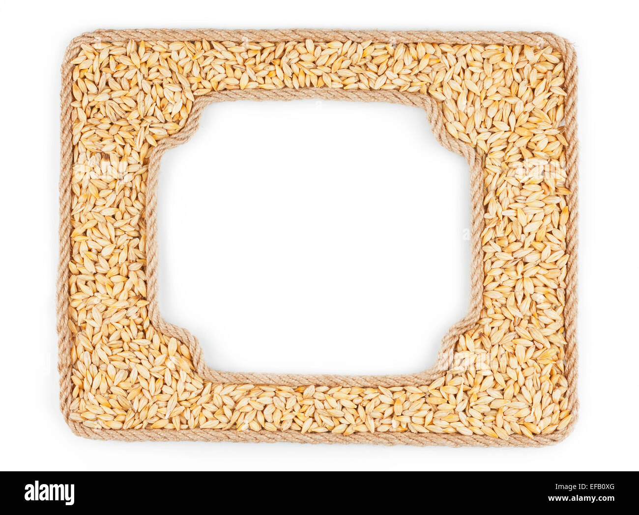 Two frames of the rope with barley grain on a white background, with ...