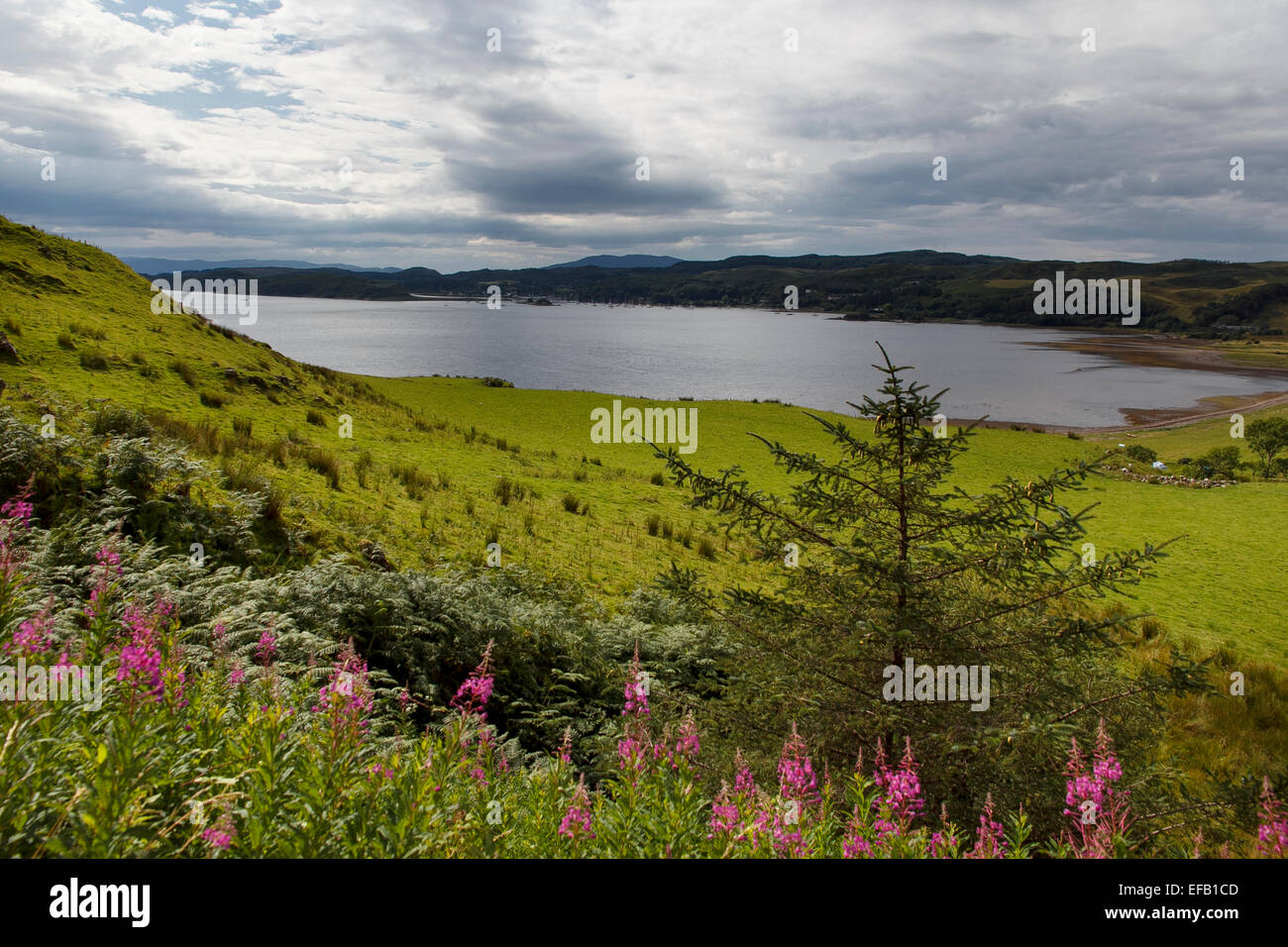 View of Loch Craignish, Argyll - in the distance the harbour of Ardfern Stock Photo