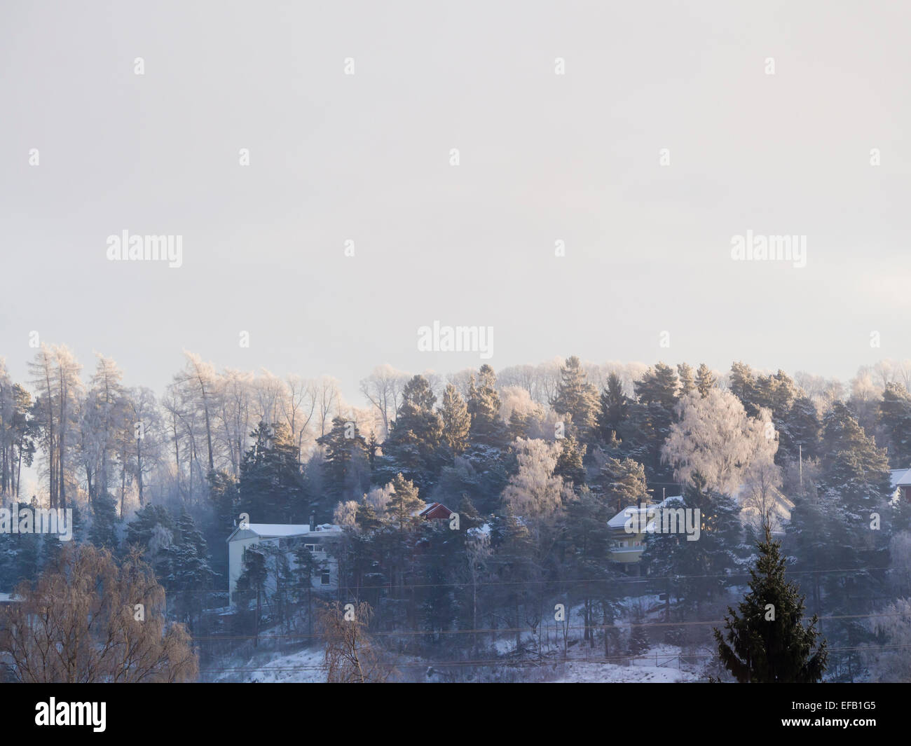 Winter in Oslo Norway, hilltop with frosty trees, snow and misty patches Stock Photo