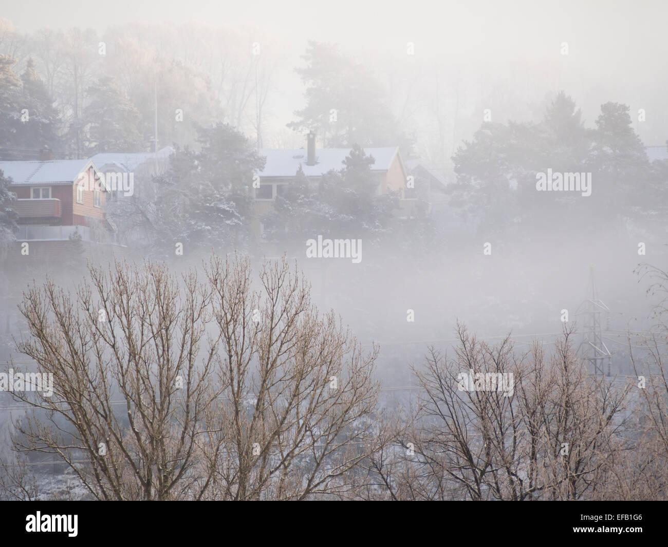 Winter in Oslo Norway, hilltop with frosty trees, snow and misty patches Stock Photo