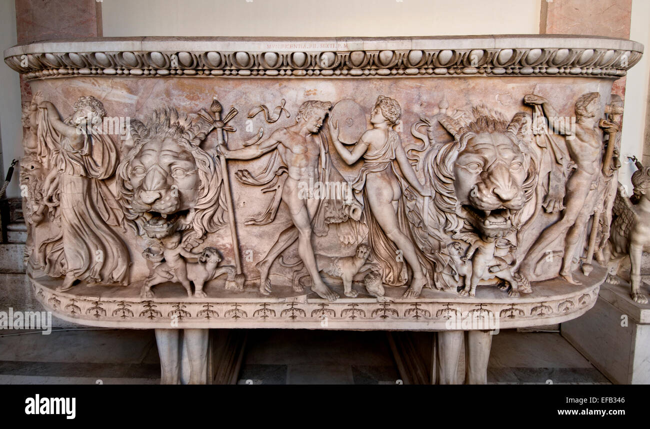 Marble sarcophagus that contained two graves found near the Vatican sacristy. The sarcophagus of the basin-type (Lenos) with protomes sided and elegant architectural elements. The scene shows the traditional procession to Dionysus displaying the maenads, satyrs and loves to overlapping panthers 150 AD. ( Vatican Museum Rome Italy ) Stock Photo
