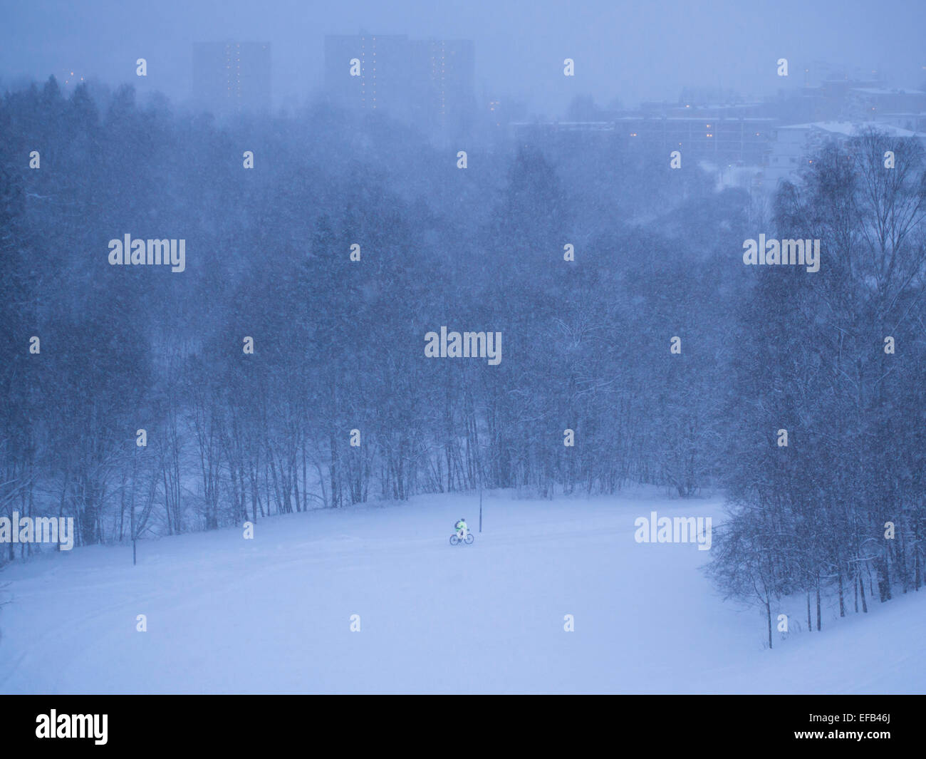 Winter morning, blue hour, lone biker forcing his way through the snowfall, Oslo Norway Stock Photo