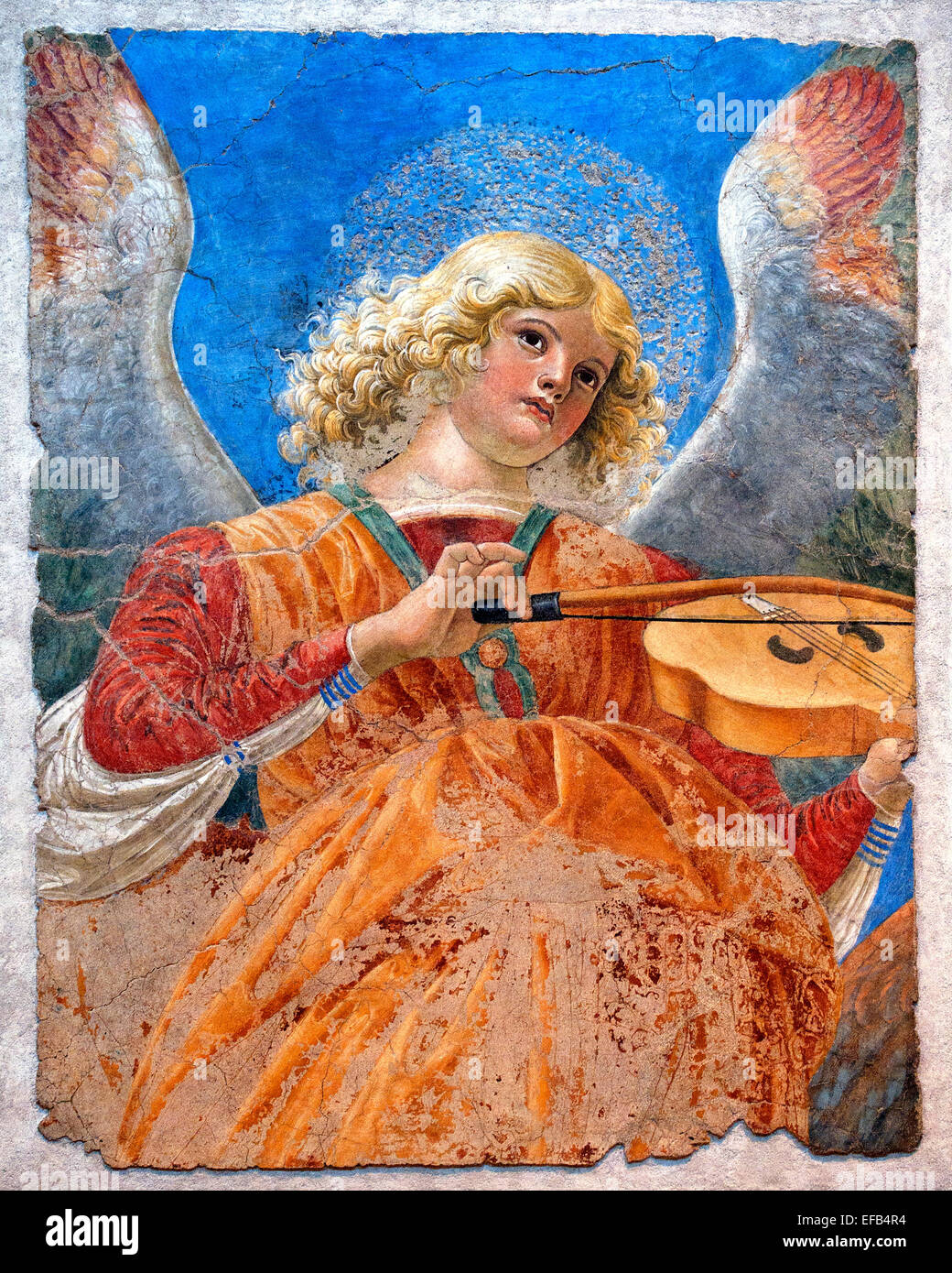 Musical Angel with Violin (fresco) Forli Melozzo da (1438-94) Italian Pinacoteca Vatican Museum Rome Italy Stock Photo