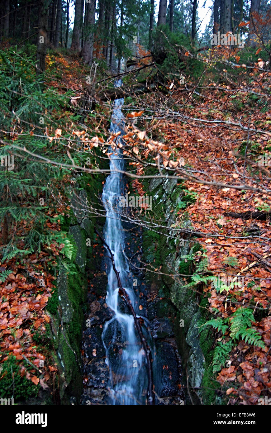 little waterfall in autumn forest in Krkonose Stock Photo