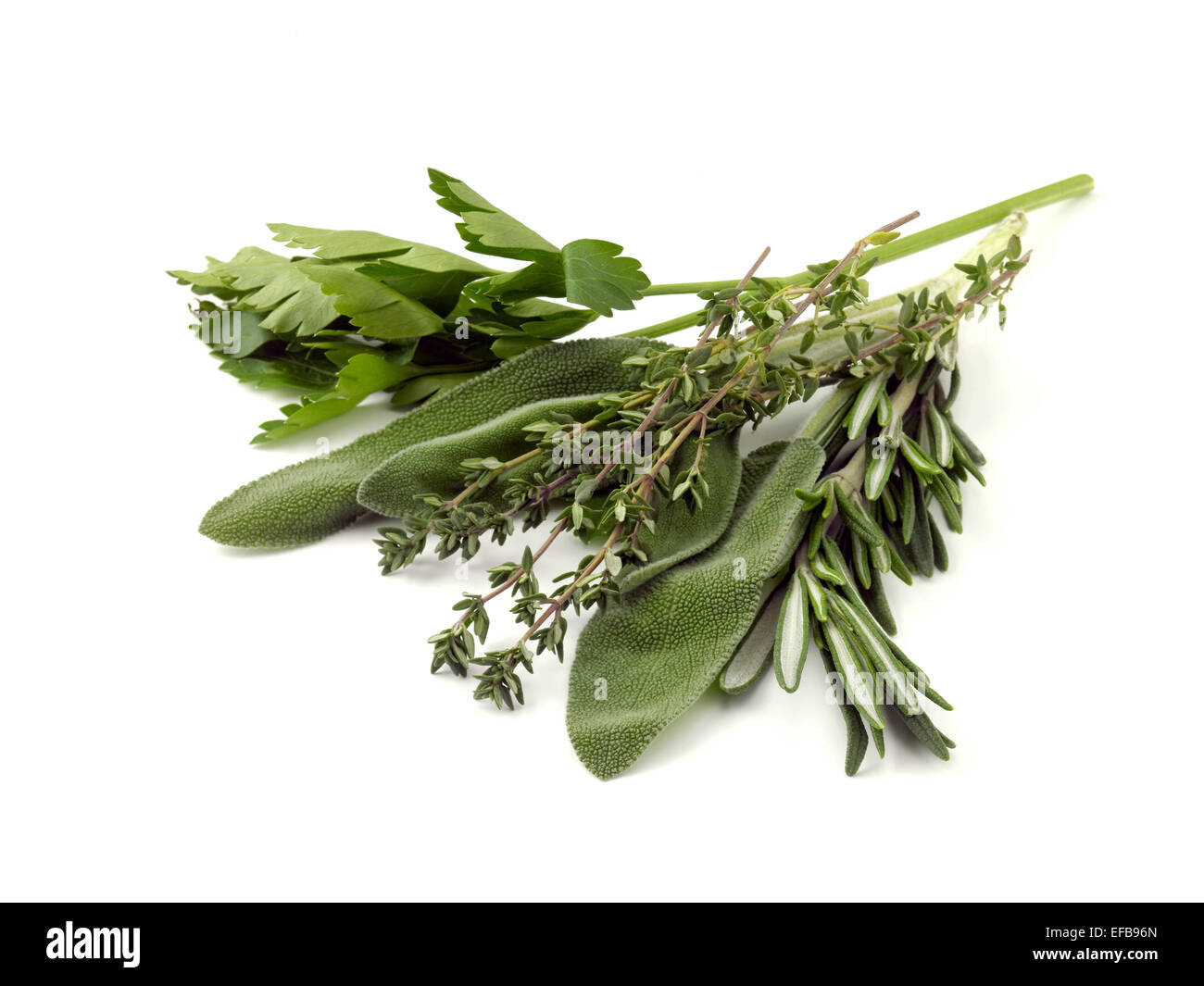 parsley sage rosemary and thyme Stock Photo