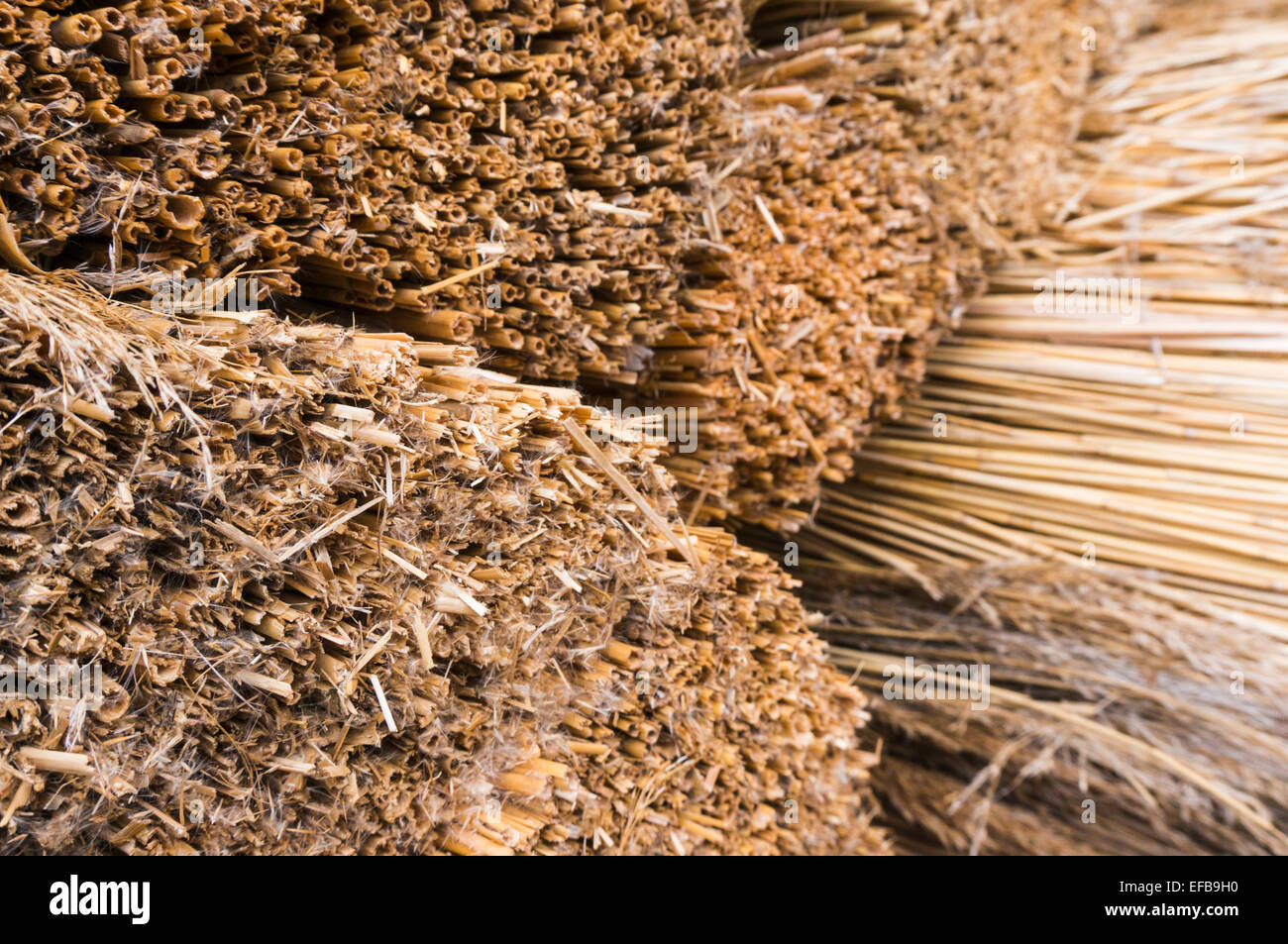Thatching straw hires stock photography and images Alamy