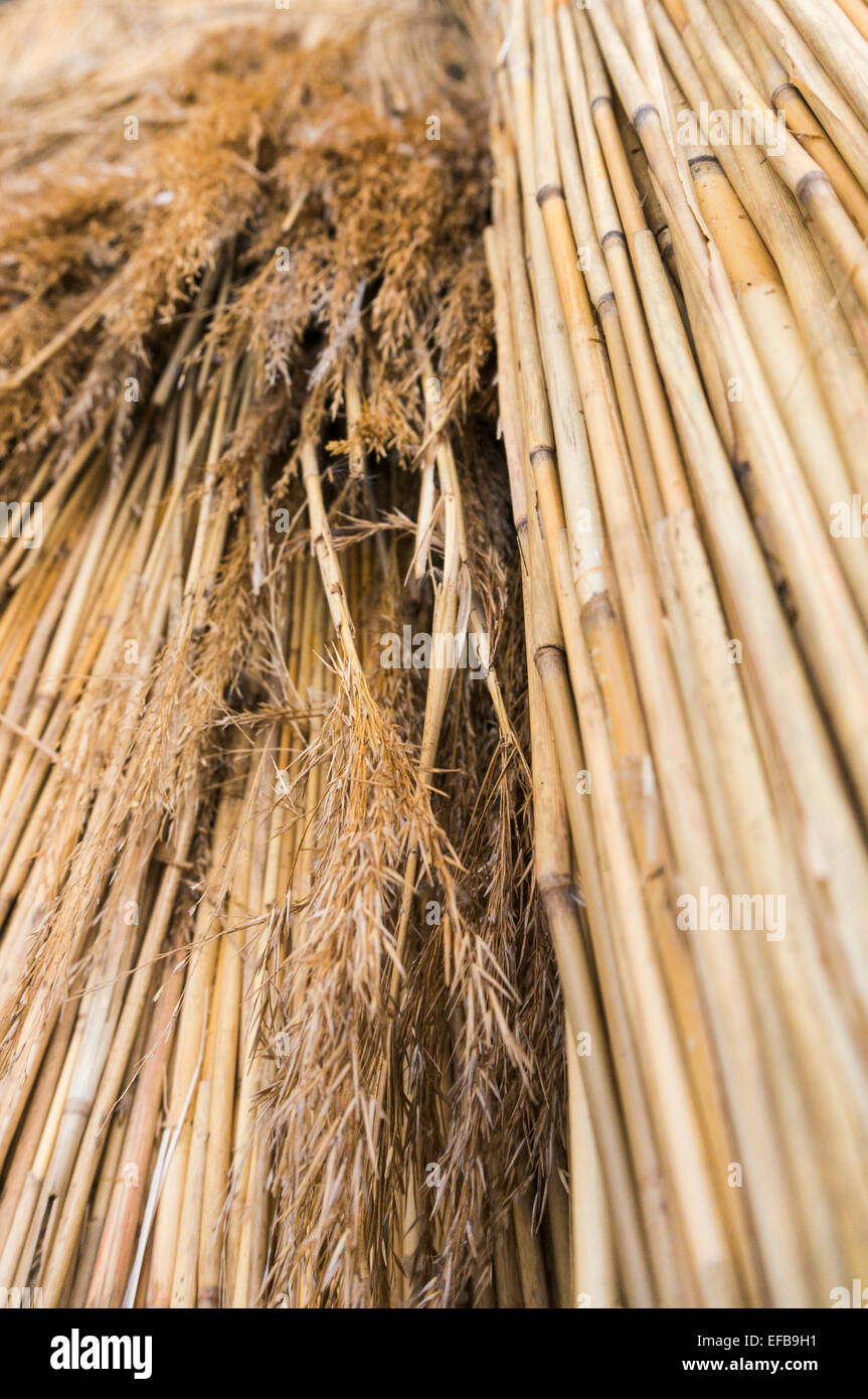 Closeup view of bundles of thatching straw Stock Photo Alamy