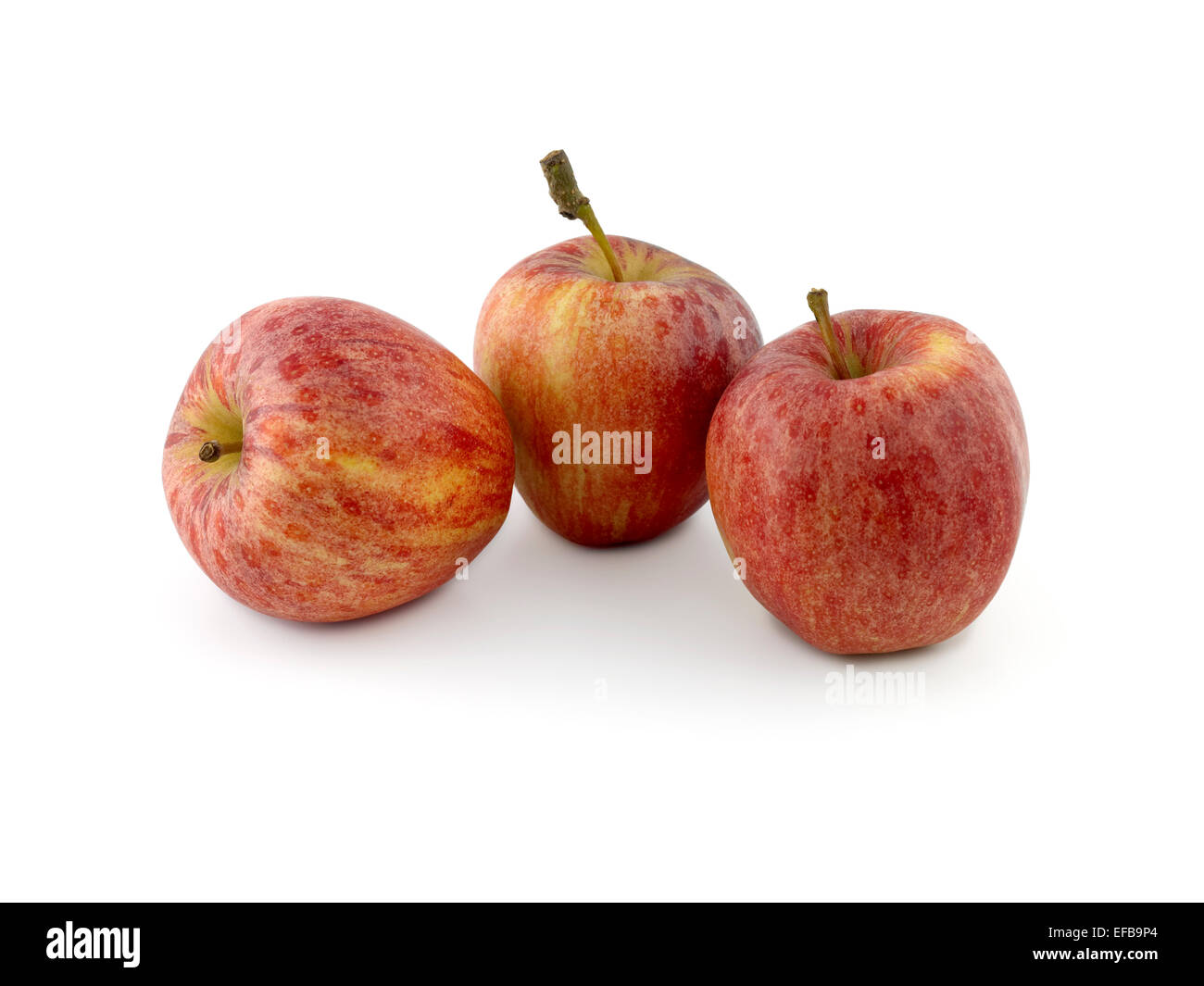 Royal gala apple tree hires stock photography and images Alamy
