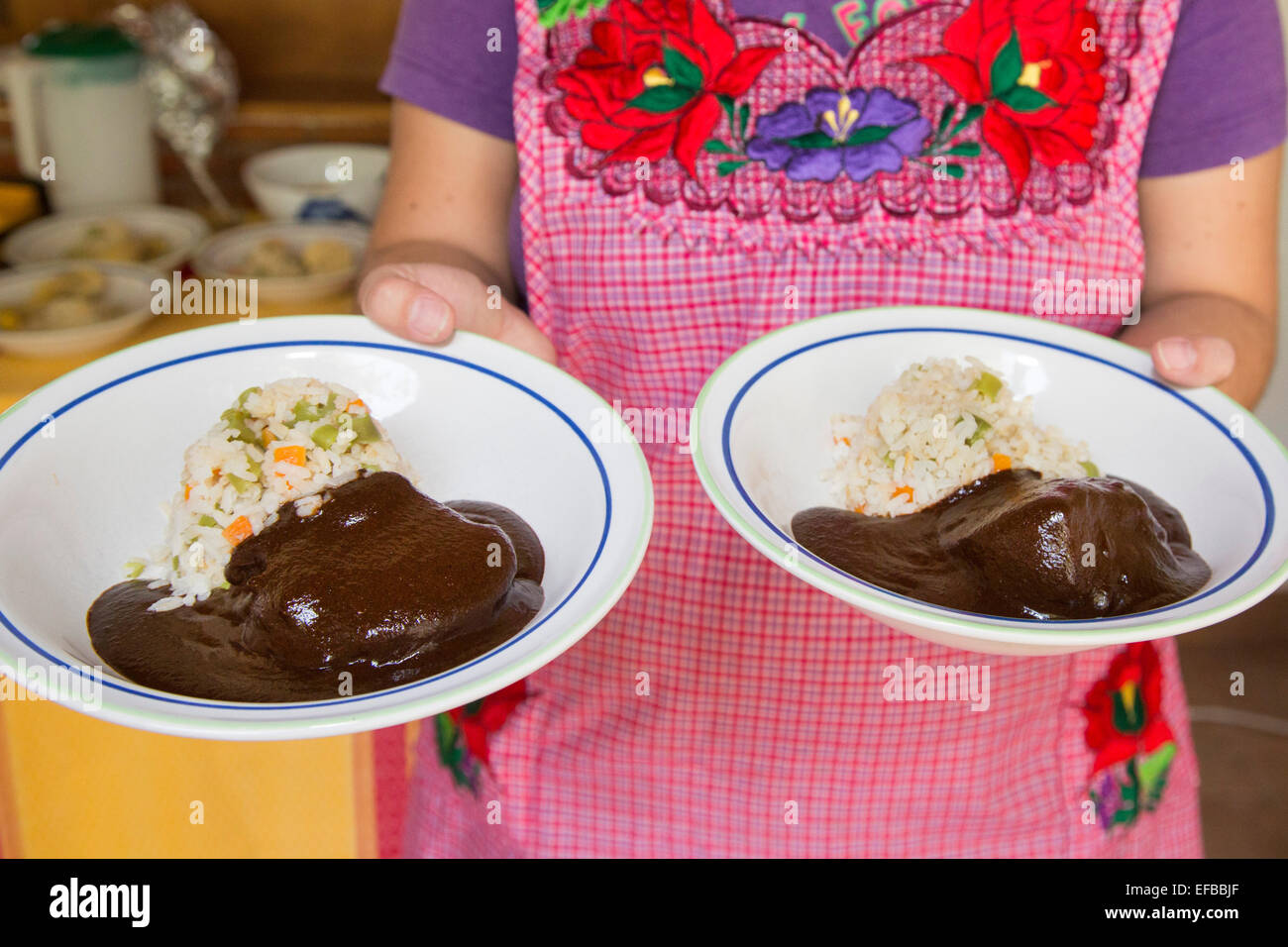 Oaxaca, Mexico - Mole Negro with Chicken and Mexican Style White Rice, the finished product of students in a cooking class. Stock Photo