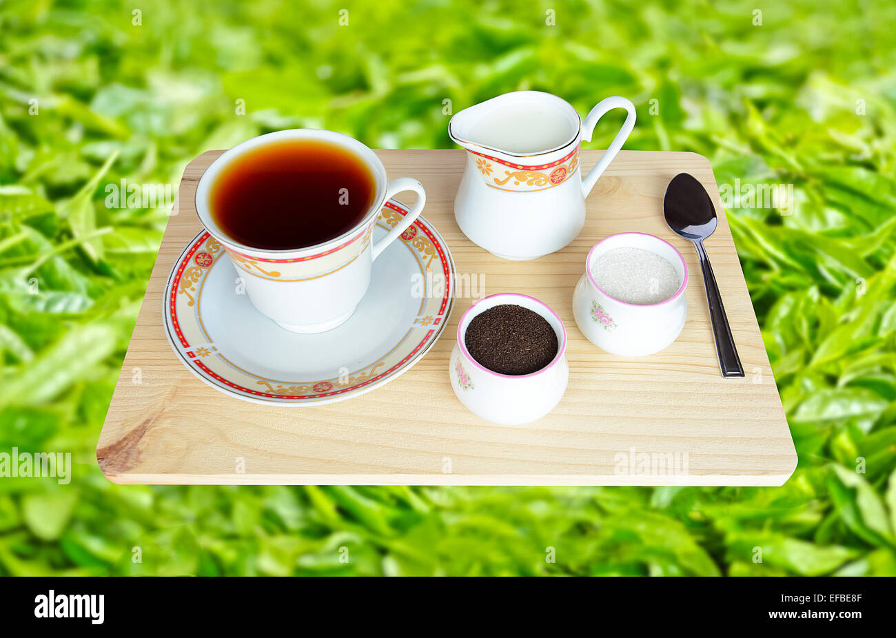 Fresh WorldRenowned Ceylon Black Tea Stock Photo Alamy