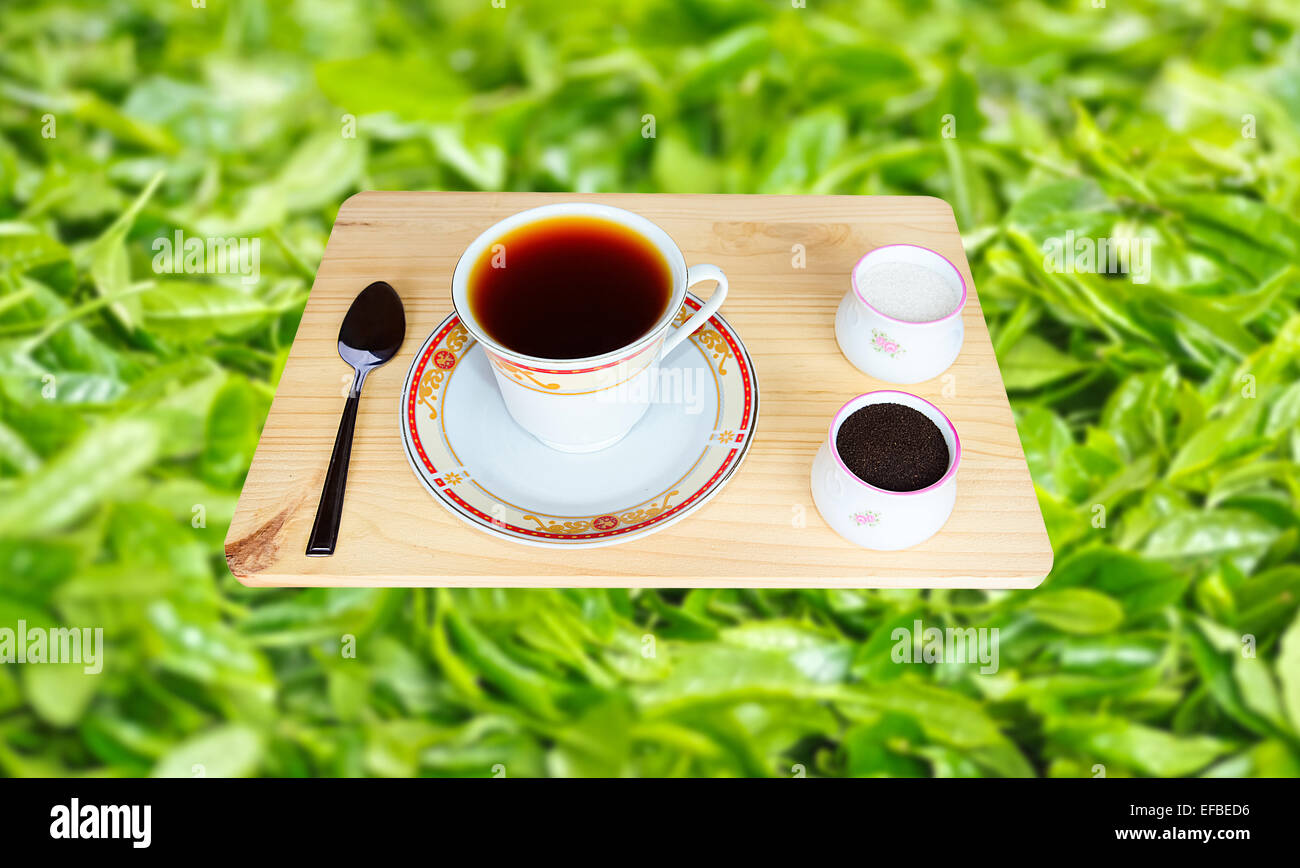 Fresh WorldRenowned Ceylon Black Tea Stock Photo Alamy