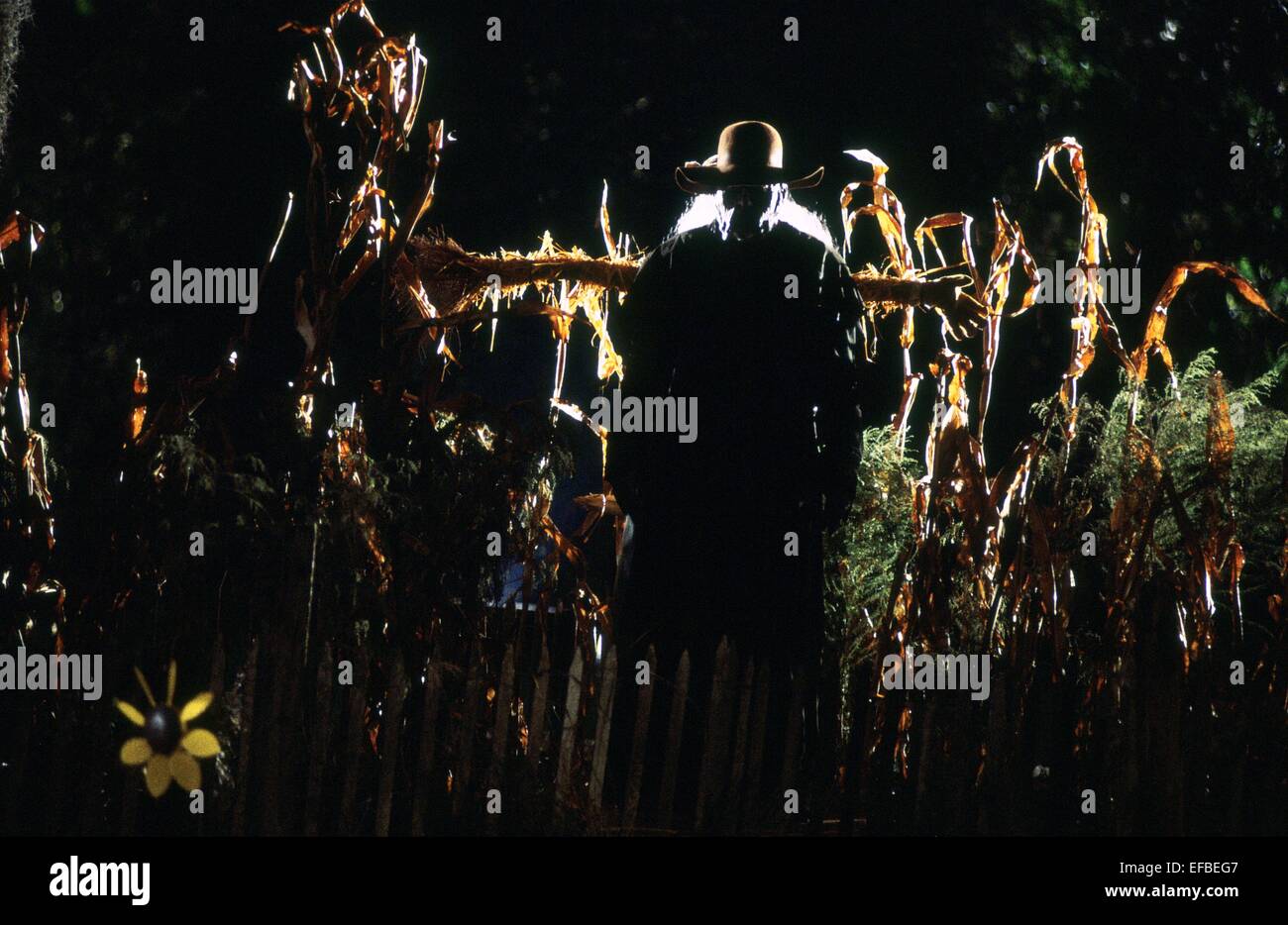 Jeepers Creepers High Resolution Stock Photography And Images Alamy