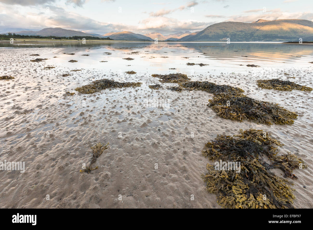 Shore of Loch Linnhe in Ardnamurchan, Scotland. Stock Photo