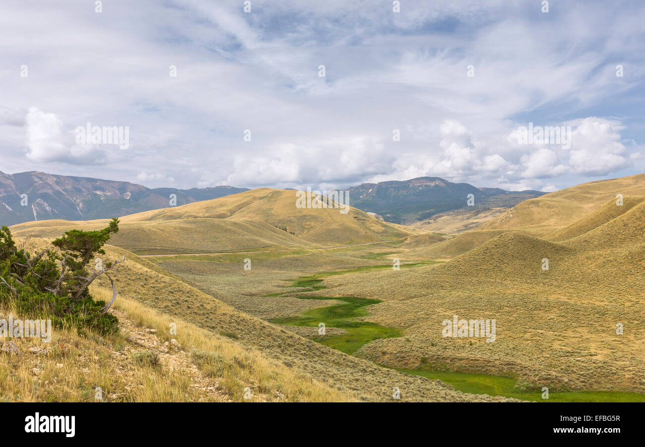 Beartooth Mountains and foothills with a valley flanked by shrub land