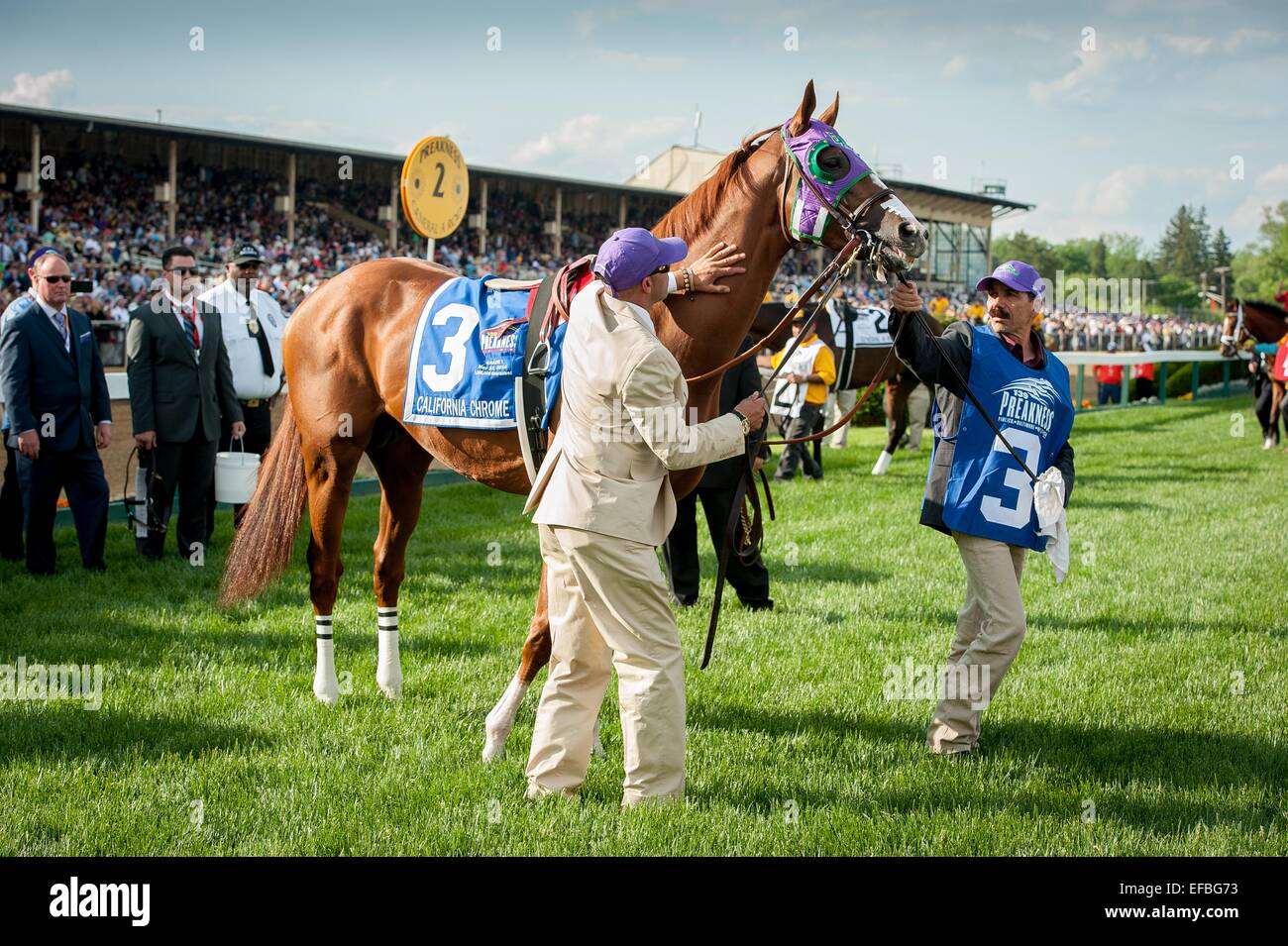 Pimlico race course hires stock photography and images Alamy Pimlico race course hires stock photography and images Alamy