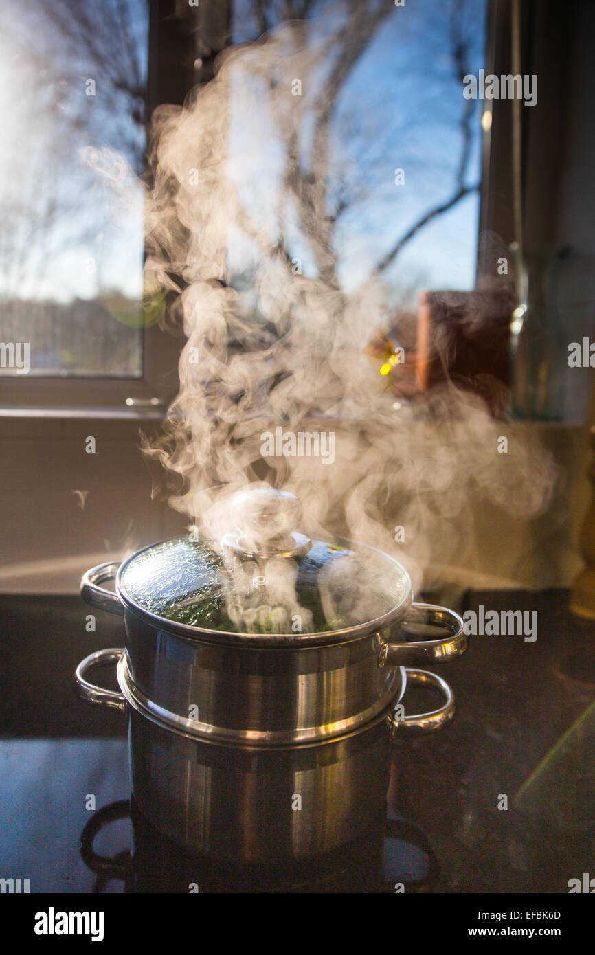 A vegetable steamer on a ceramic hob Stock Photo Alamy