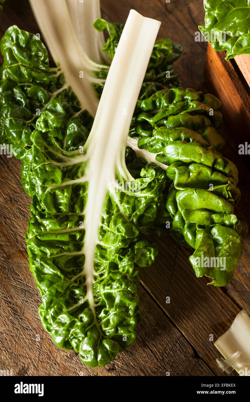 Fresh Organic Green Chard Ready to Eat Stock Photo Alamy