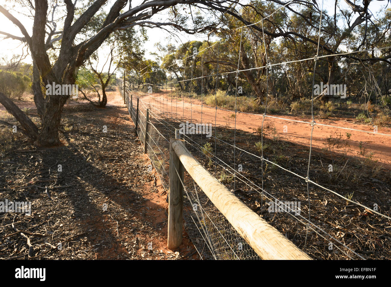 Kangaroo Fence, Hattah Kulkyne National Park, Victoria, VIC, Australia Stock Photo