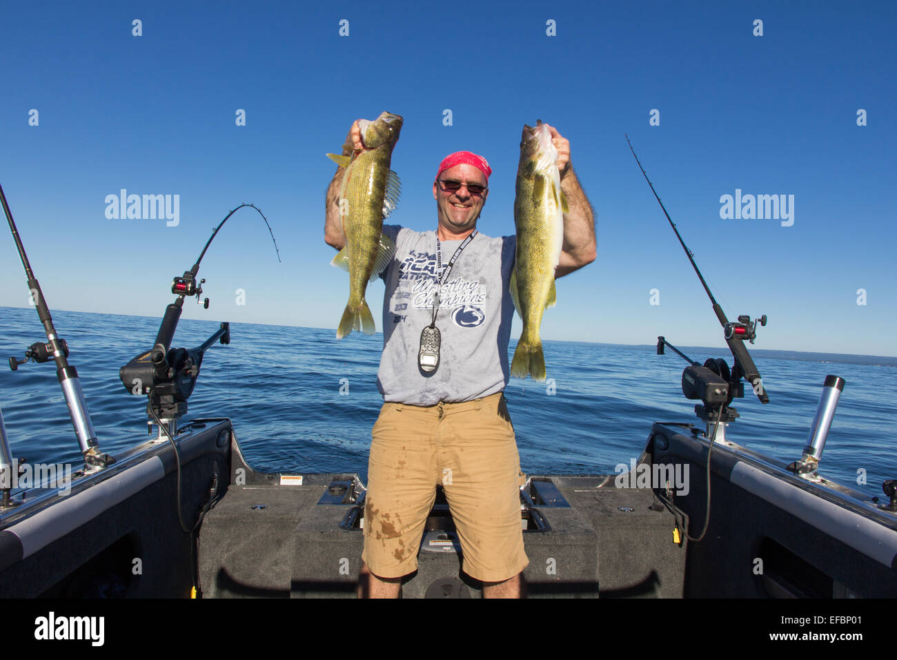 A walleye angler holds up two trophy walleye on Lake Erie. Stock Photo