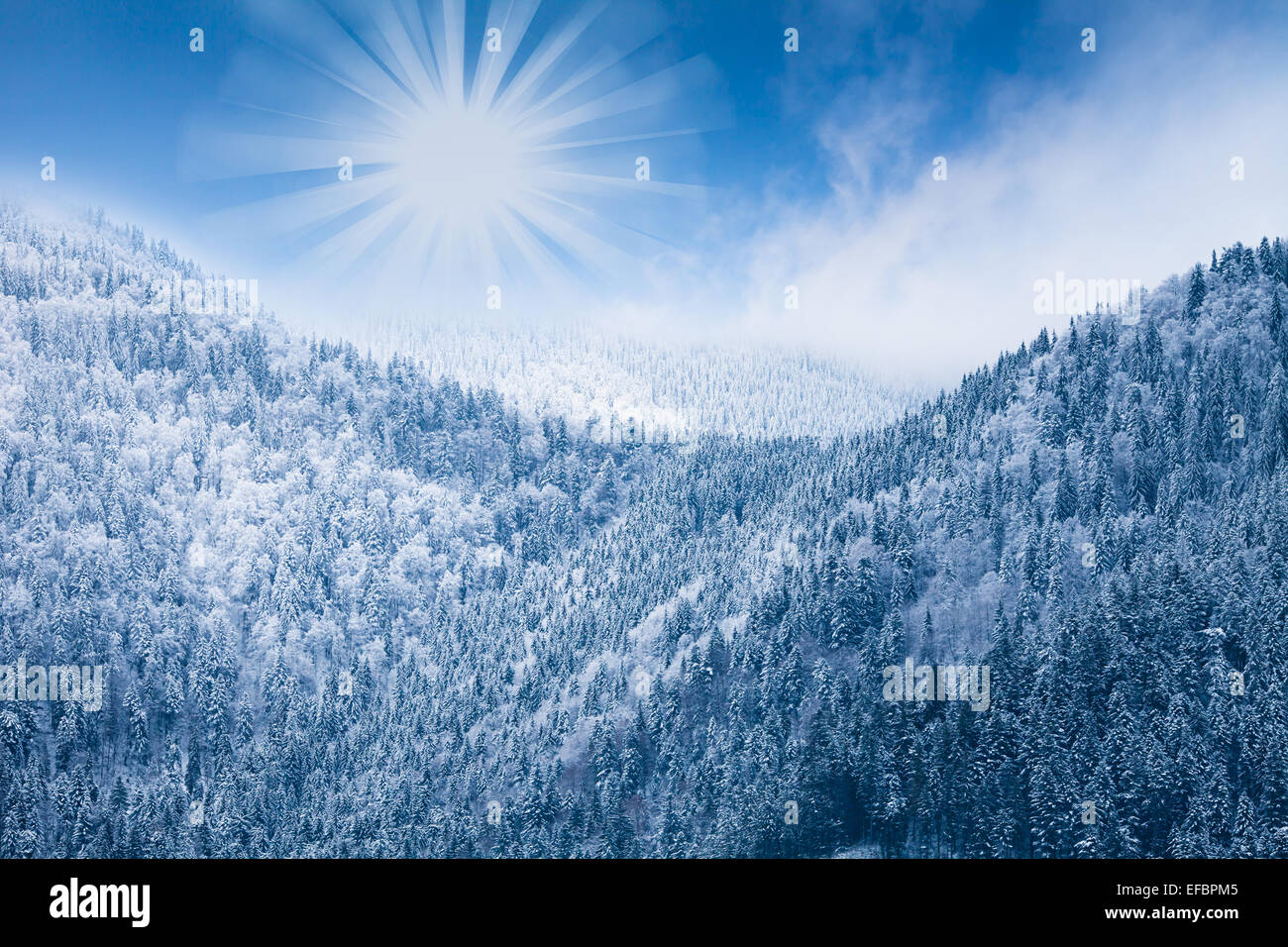 Scenery backdrop hi-res stock photography and images - Alamy