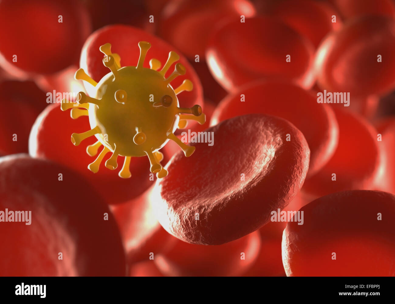 Red blood cells being attacked by virus with depth of field. Stock Photo