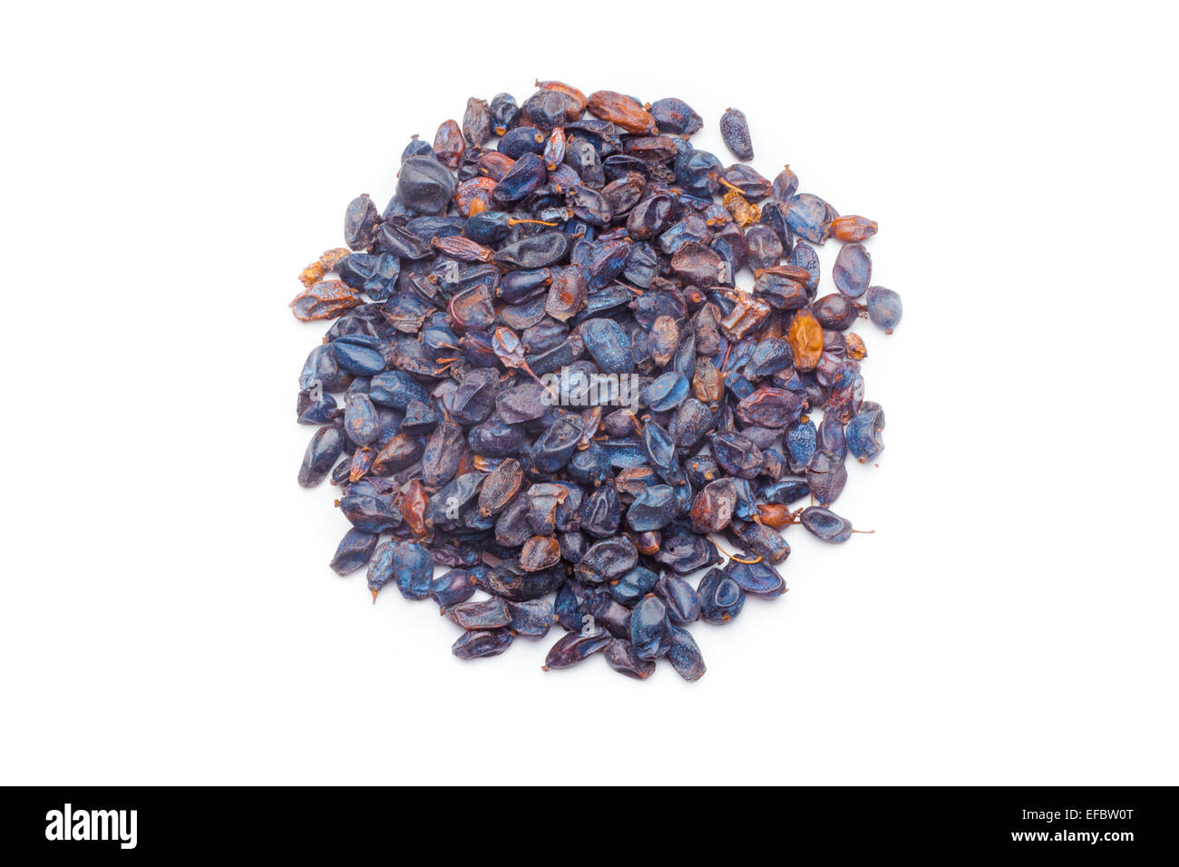 dry barberry spices Stock Photo