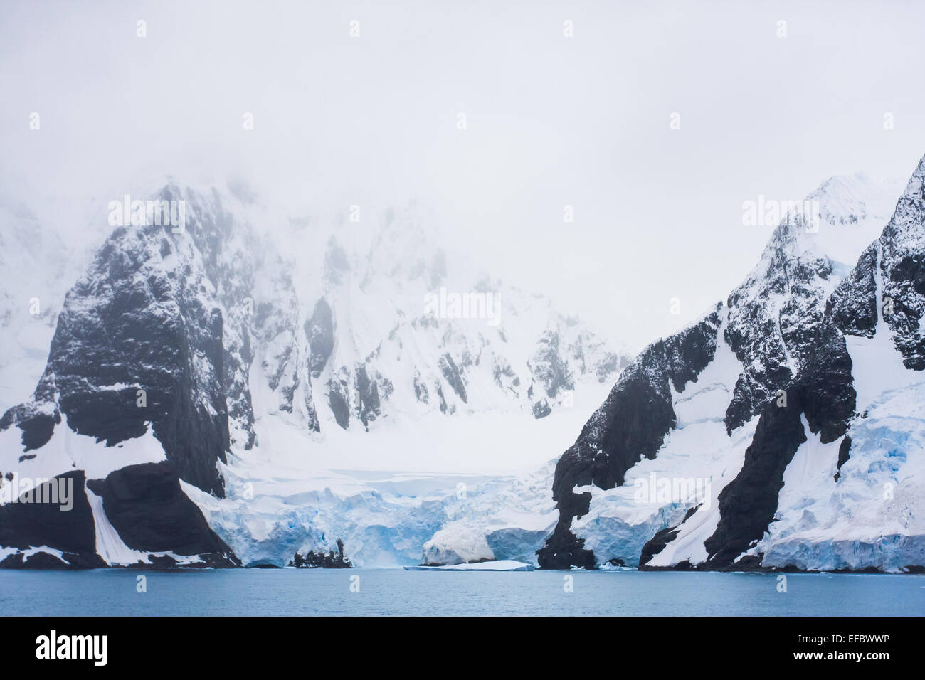Ice capped birds hi-res stock photography and images - Alamy