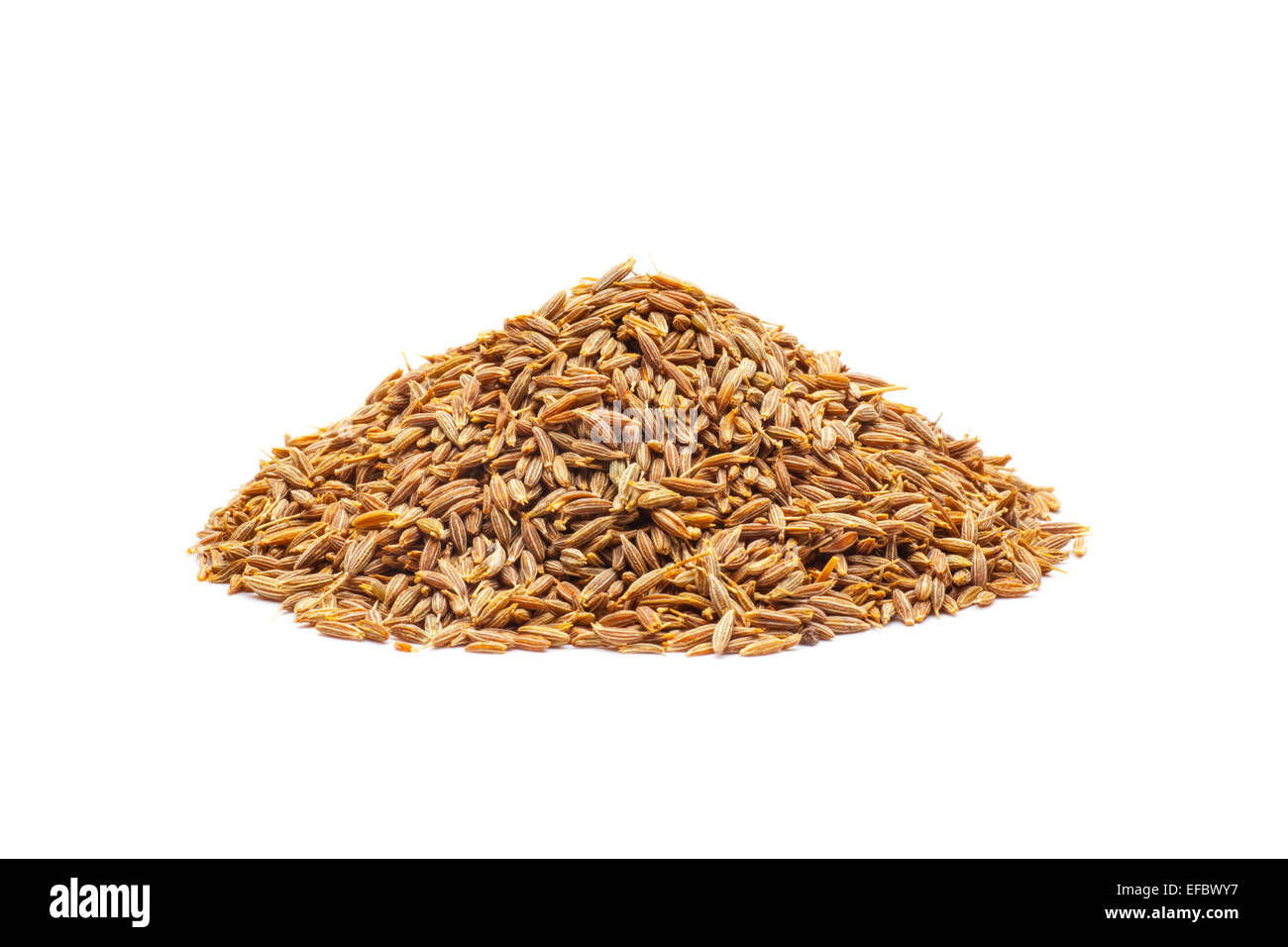 grains of wheat Stock Photo