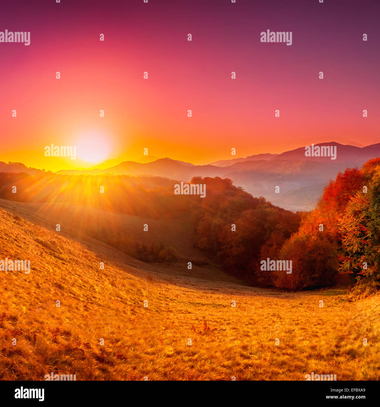 Colorful autumn landscape Stock Photo - Alamy