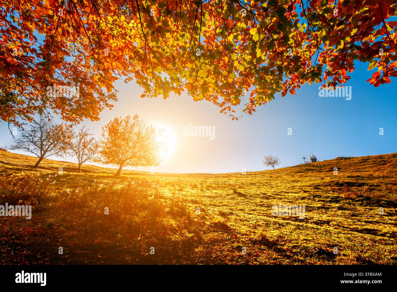 Colorful autumn landscape Stock Photo - Alamy